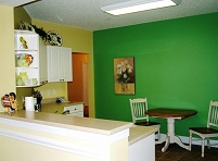 Выбор краски для кухни