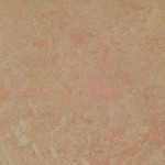 marmoleum_forbo_marmoleum_click_silver_birch_t